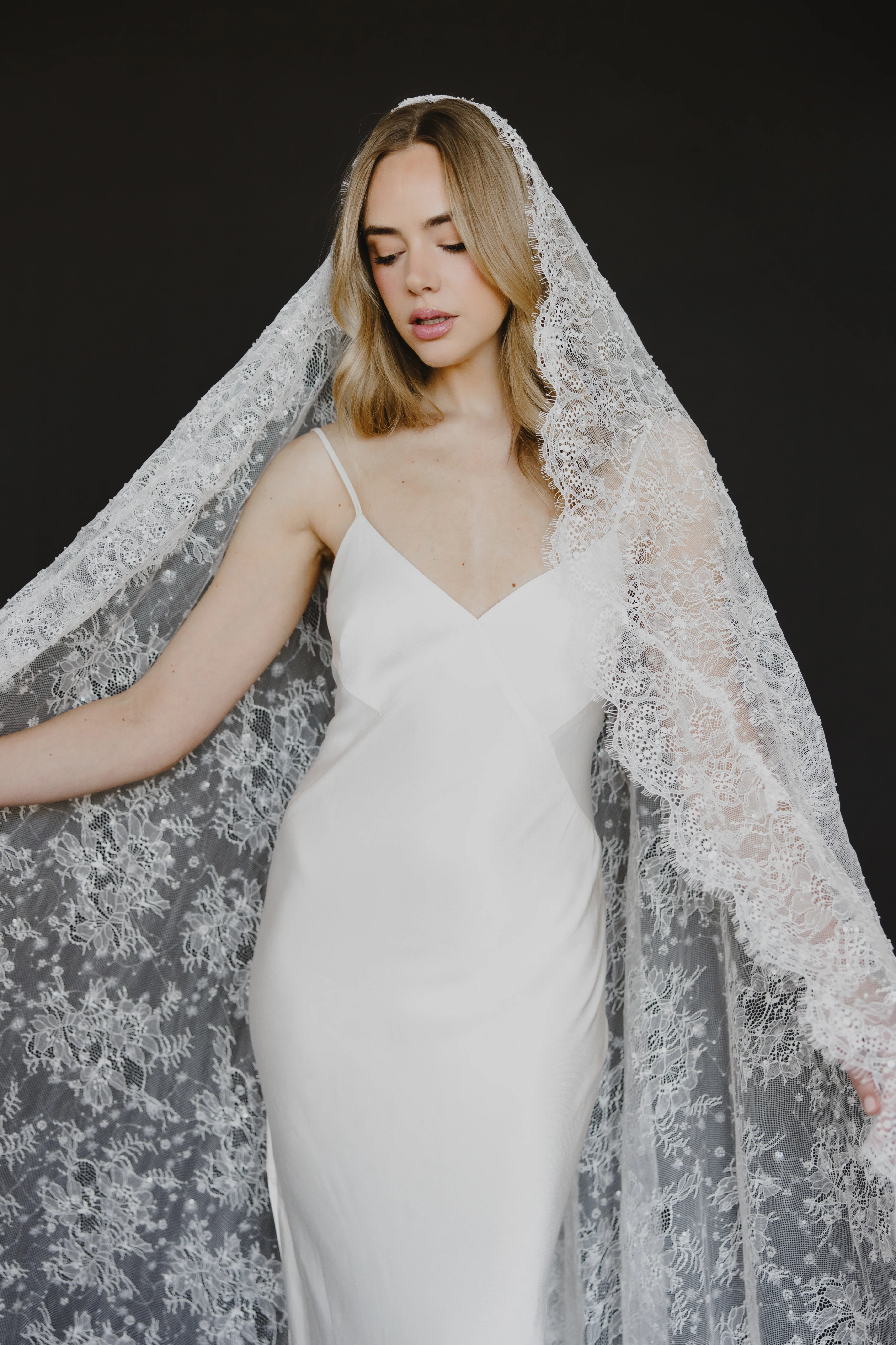 Delphine Veil - Image 14