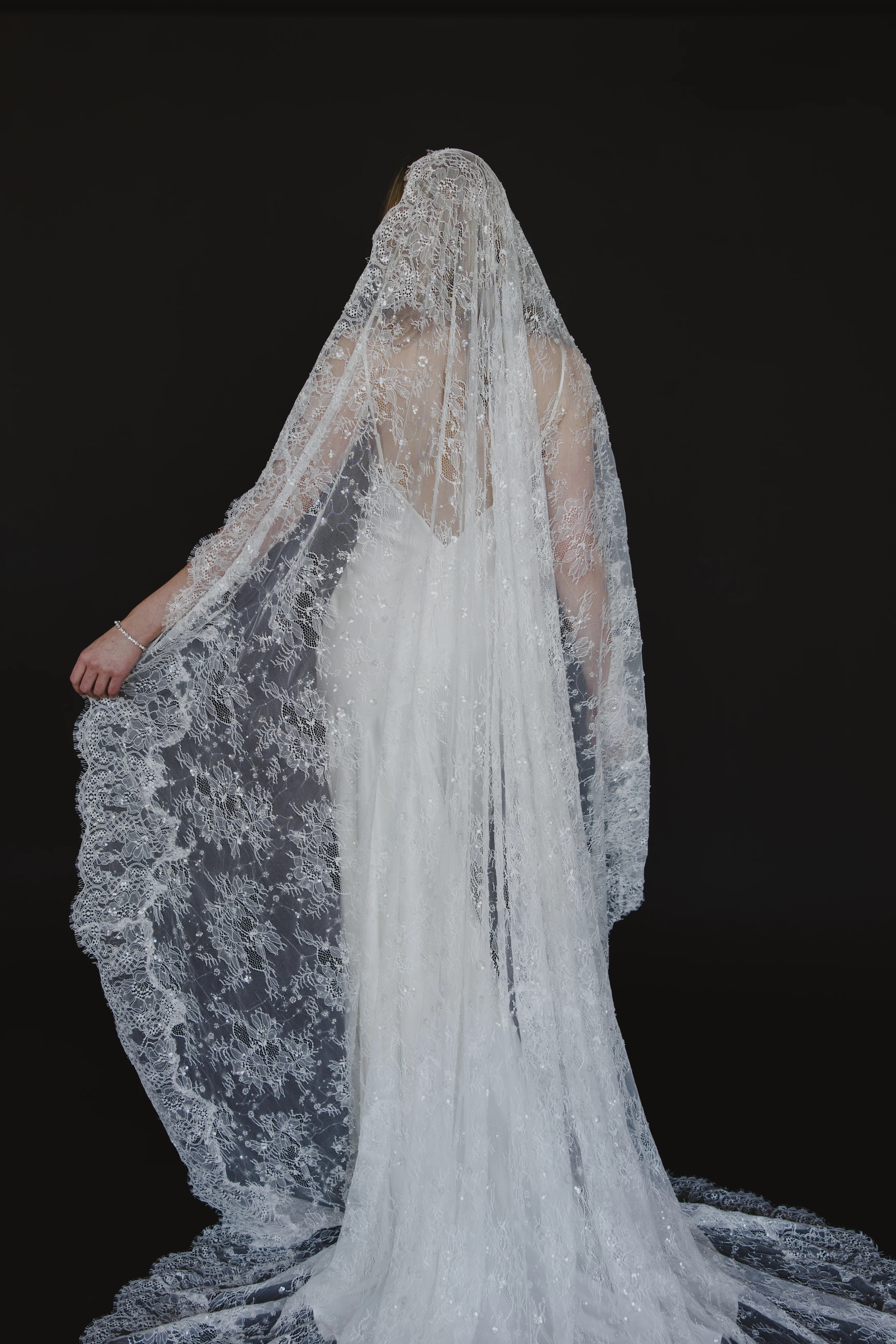 Delphine Veil - Image 15