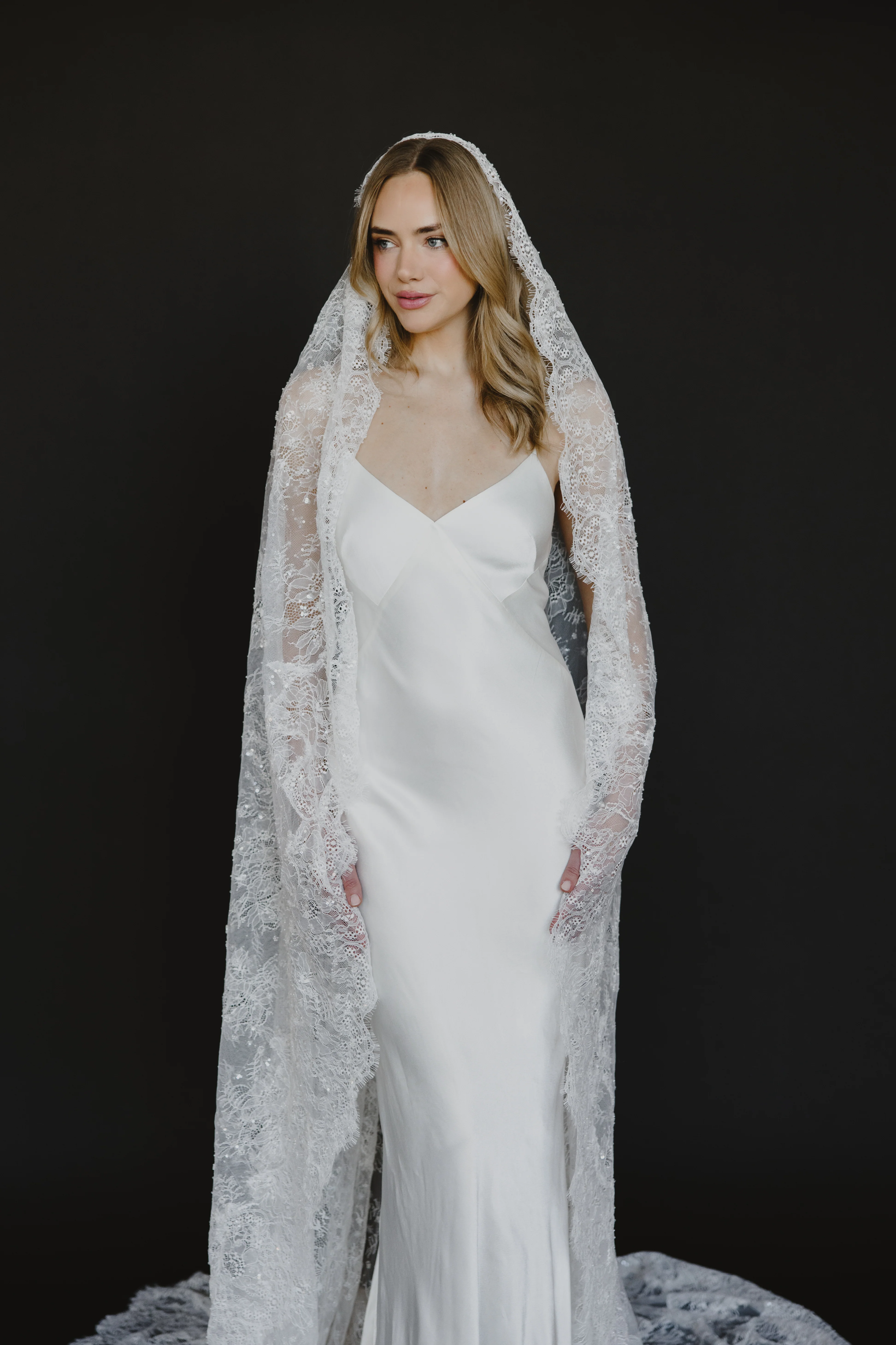 Delphine Veil - Image 16