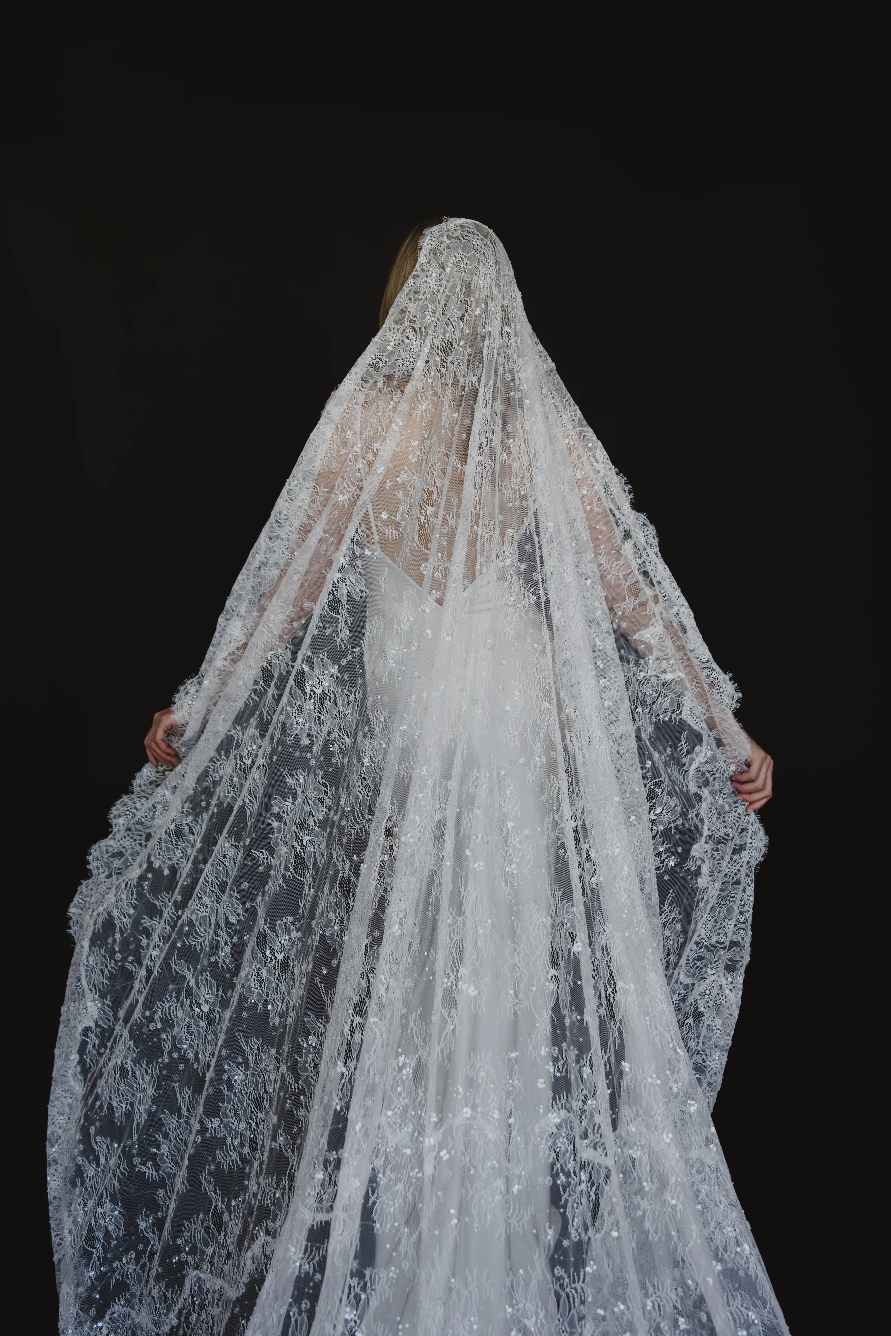 Delphine Veil - Image 4