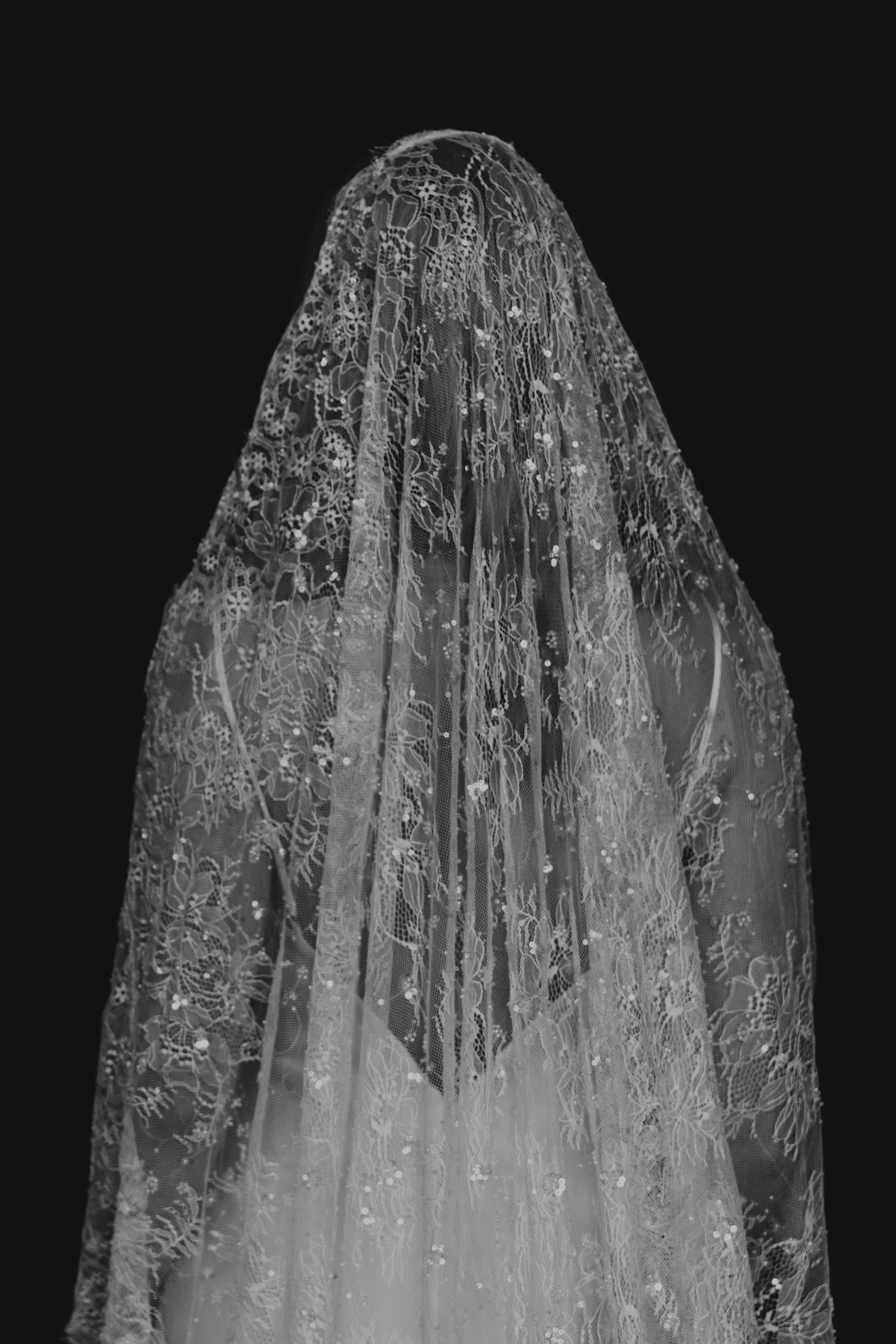 Delphine Veil - Image 7