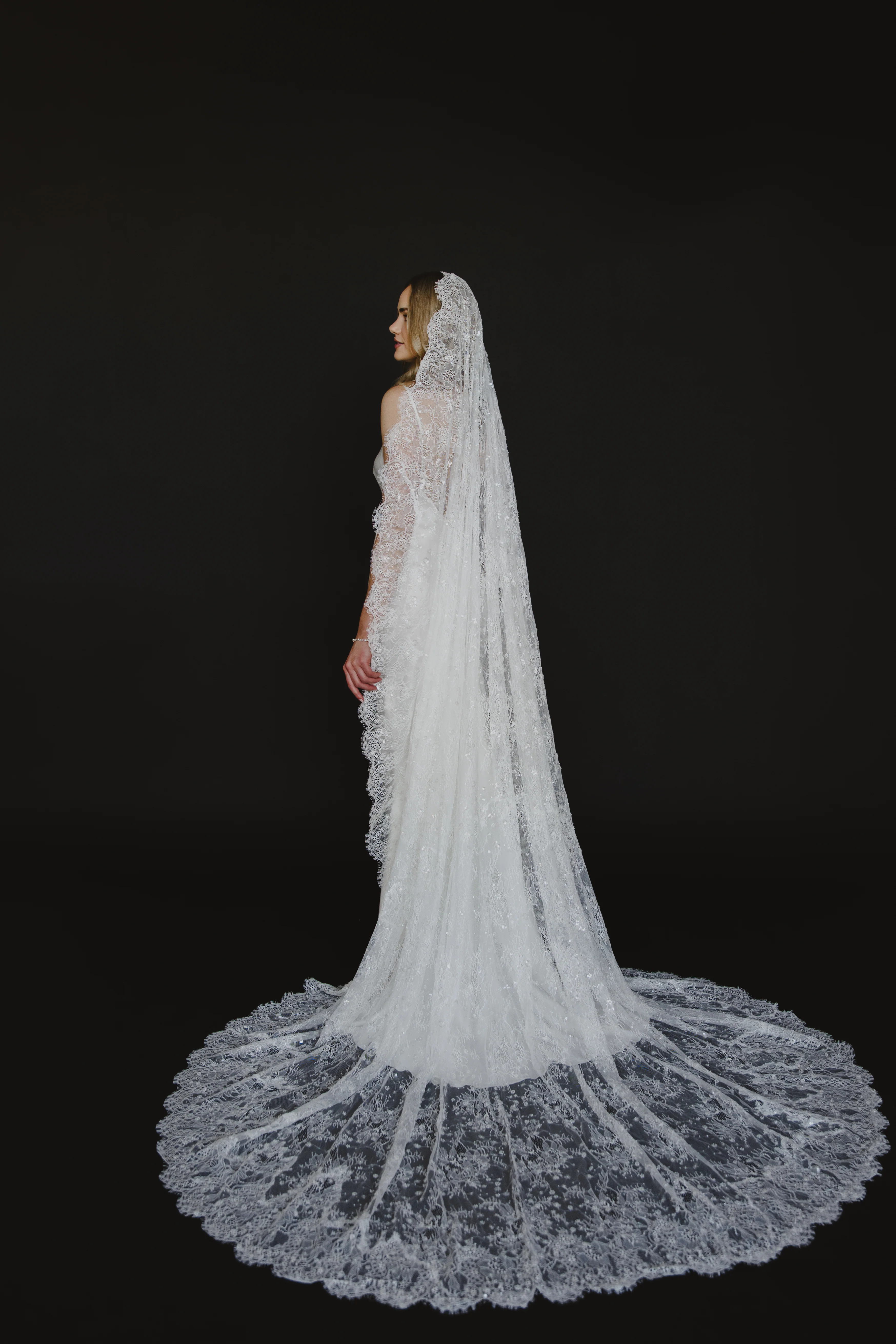 Delphine Veil - Image 8