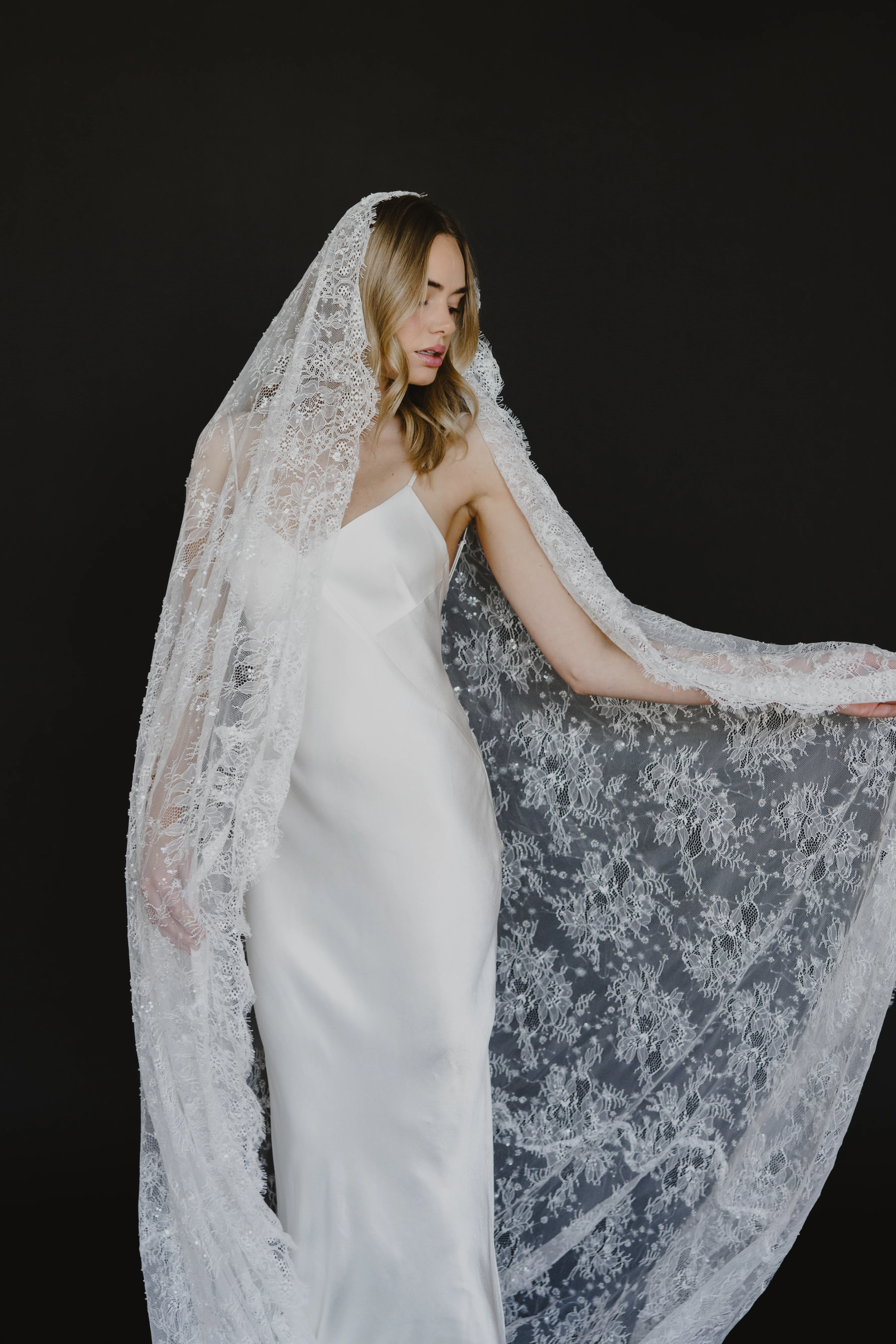 Delphine Veil - Image 9