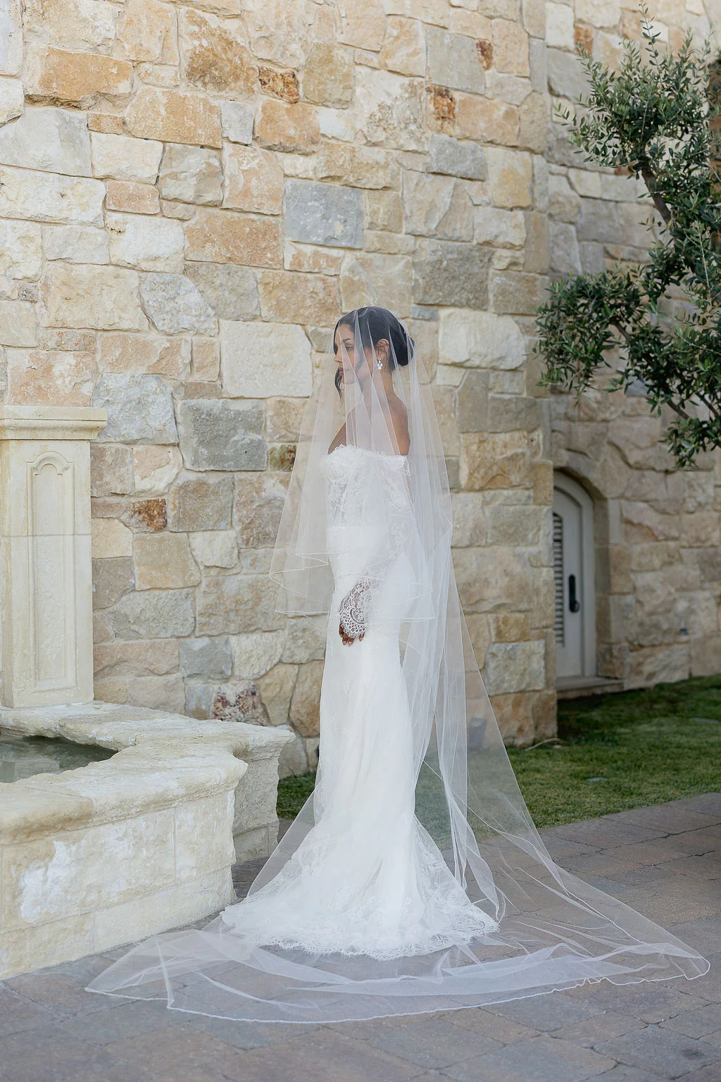 Dylan Veil - Image 5