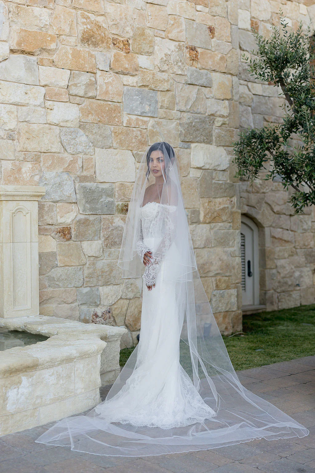Dylan Veil - Image 8