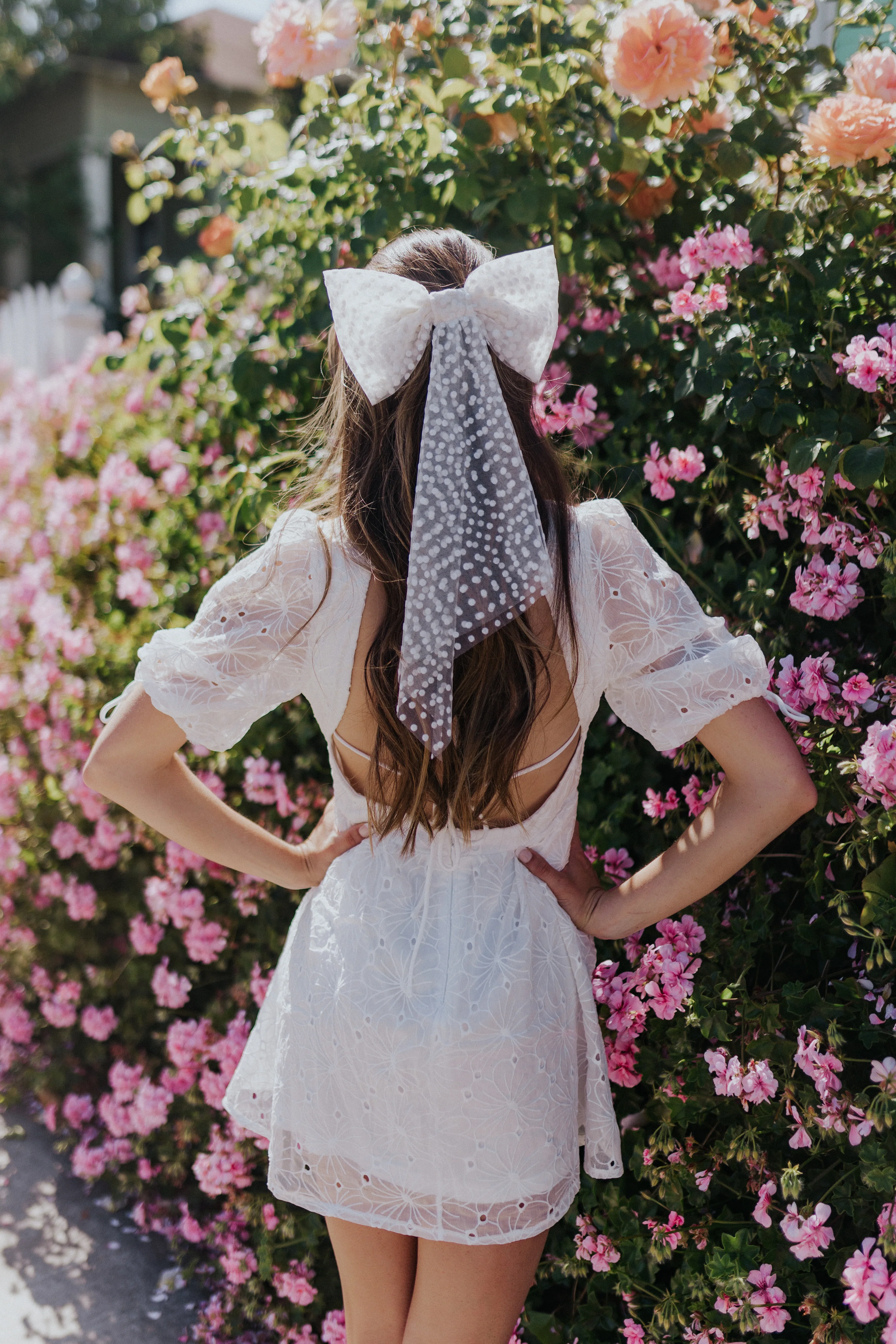 Emma Bow - Image 13
