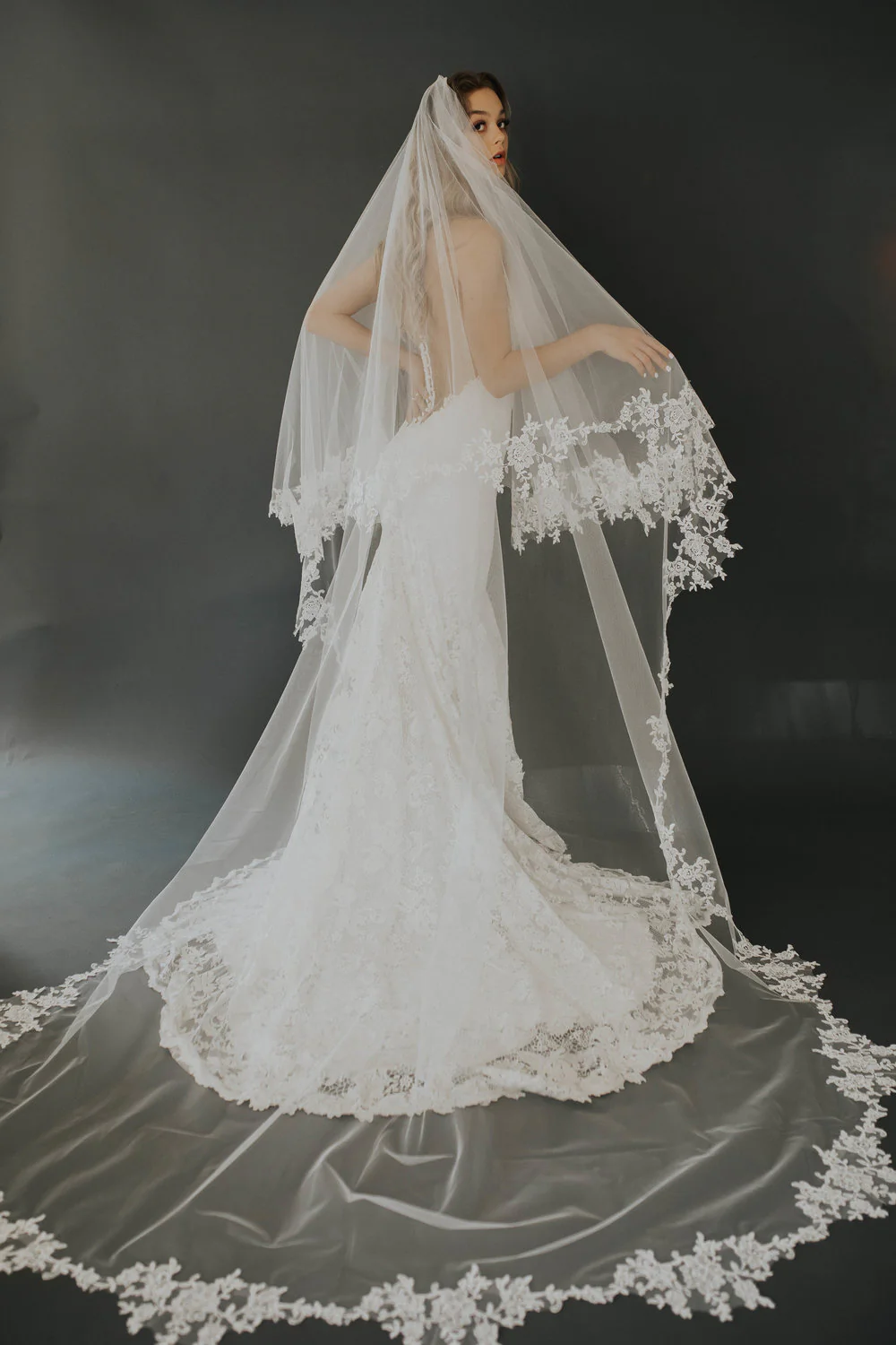 Ambrosia Veil