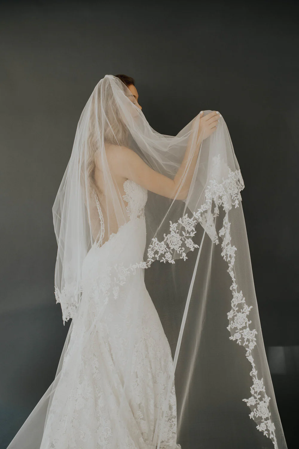 Ambrosia Veil - Image 3