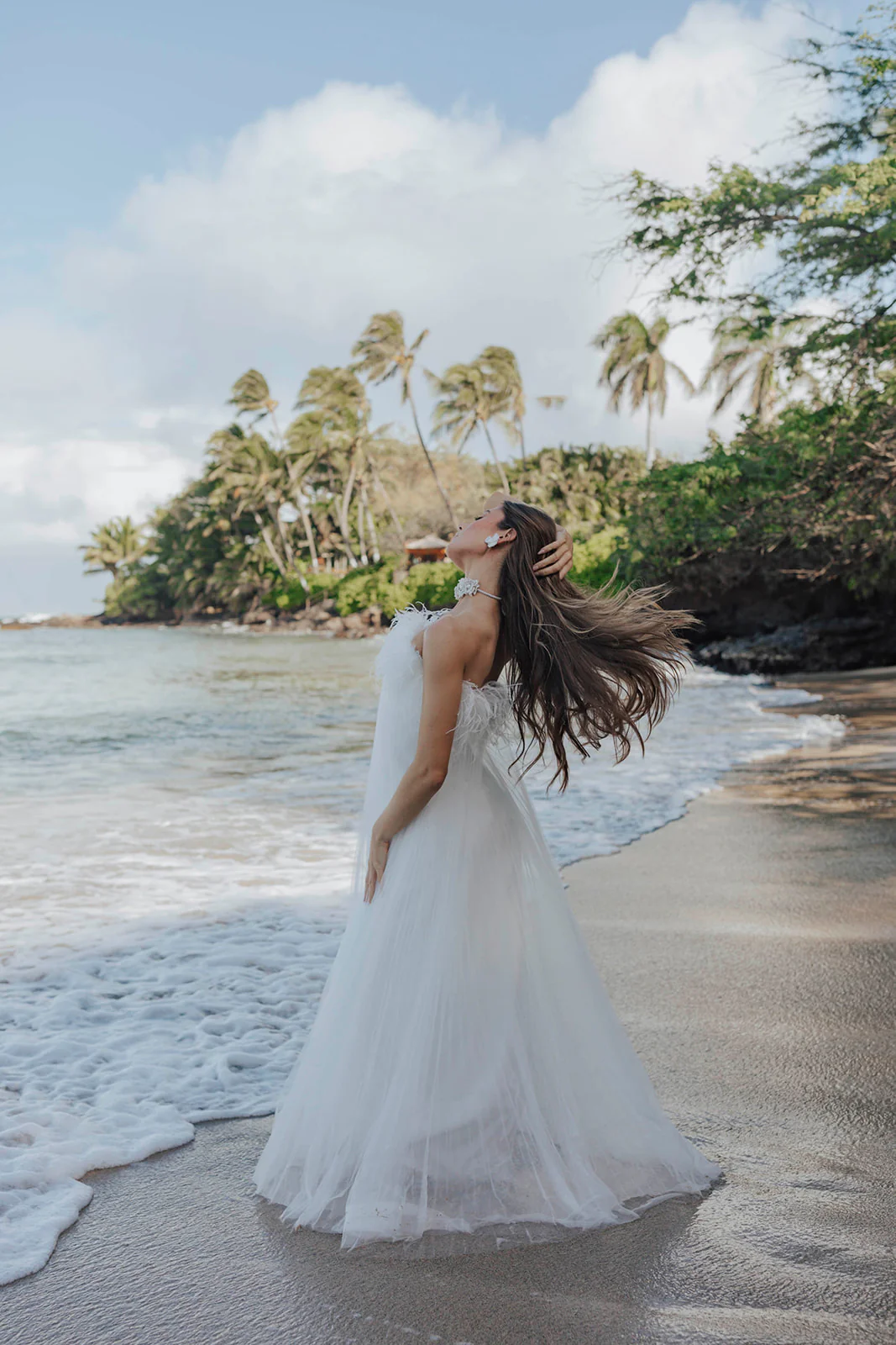 Maui - Image 23