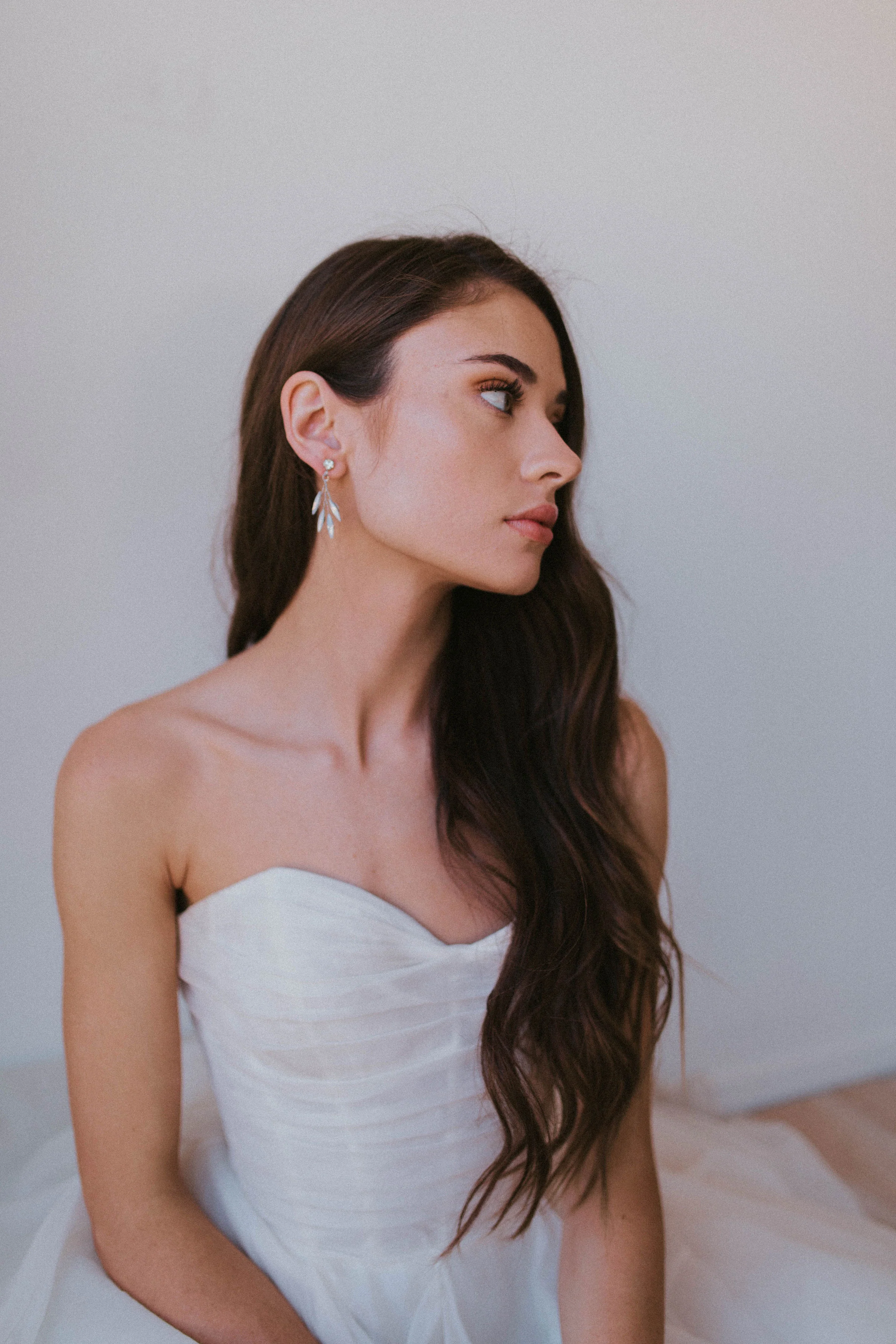 Paloma - Image 6