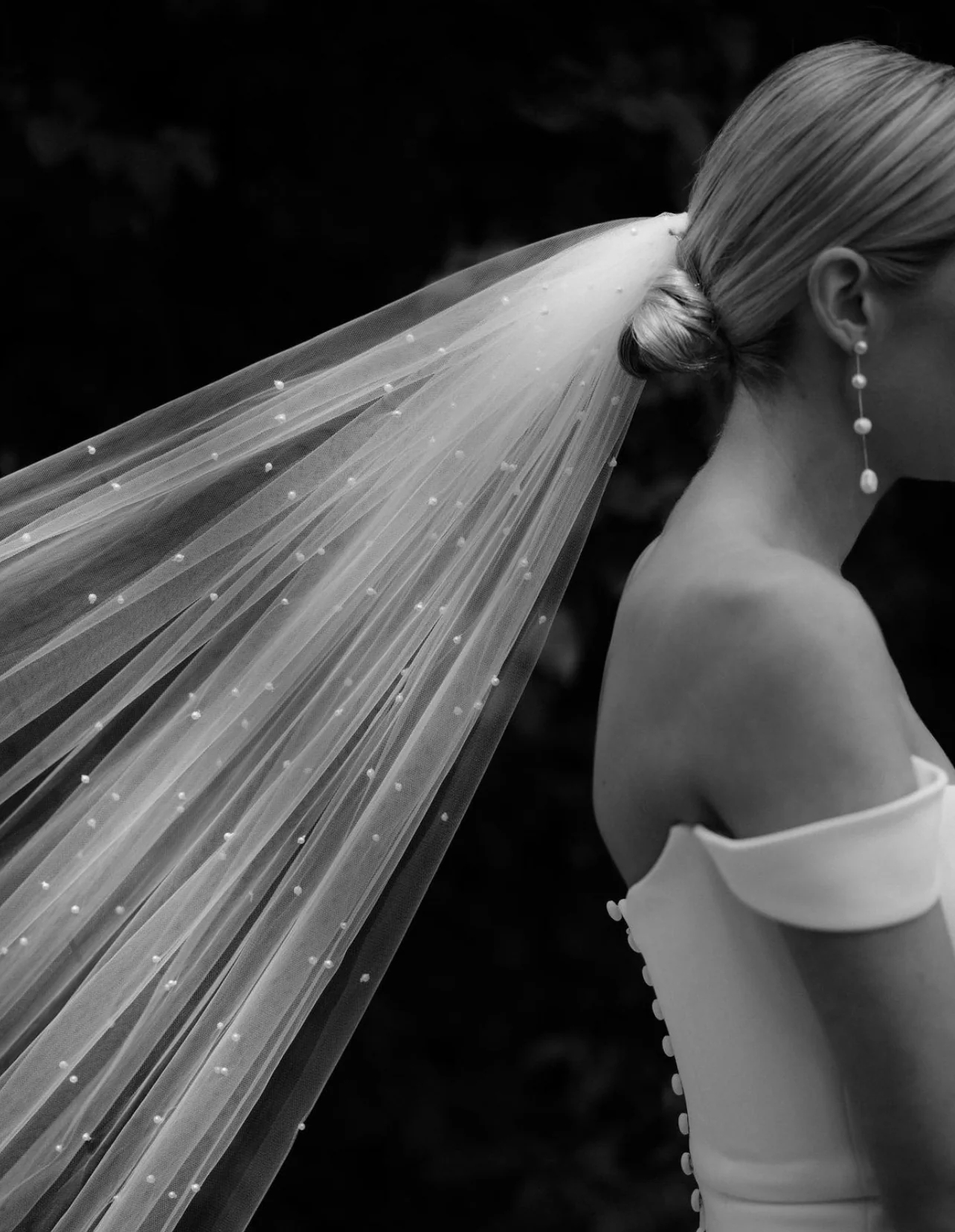Pandora Veil - Image 4