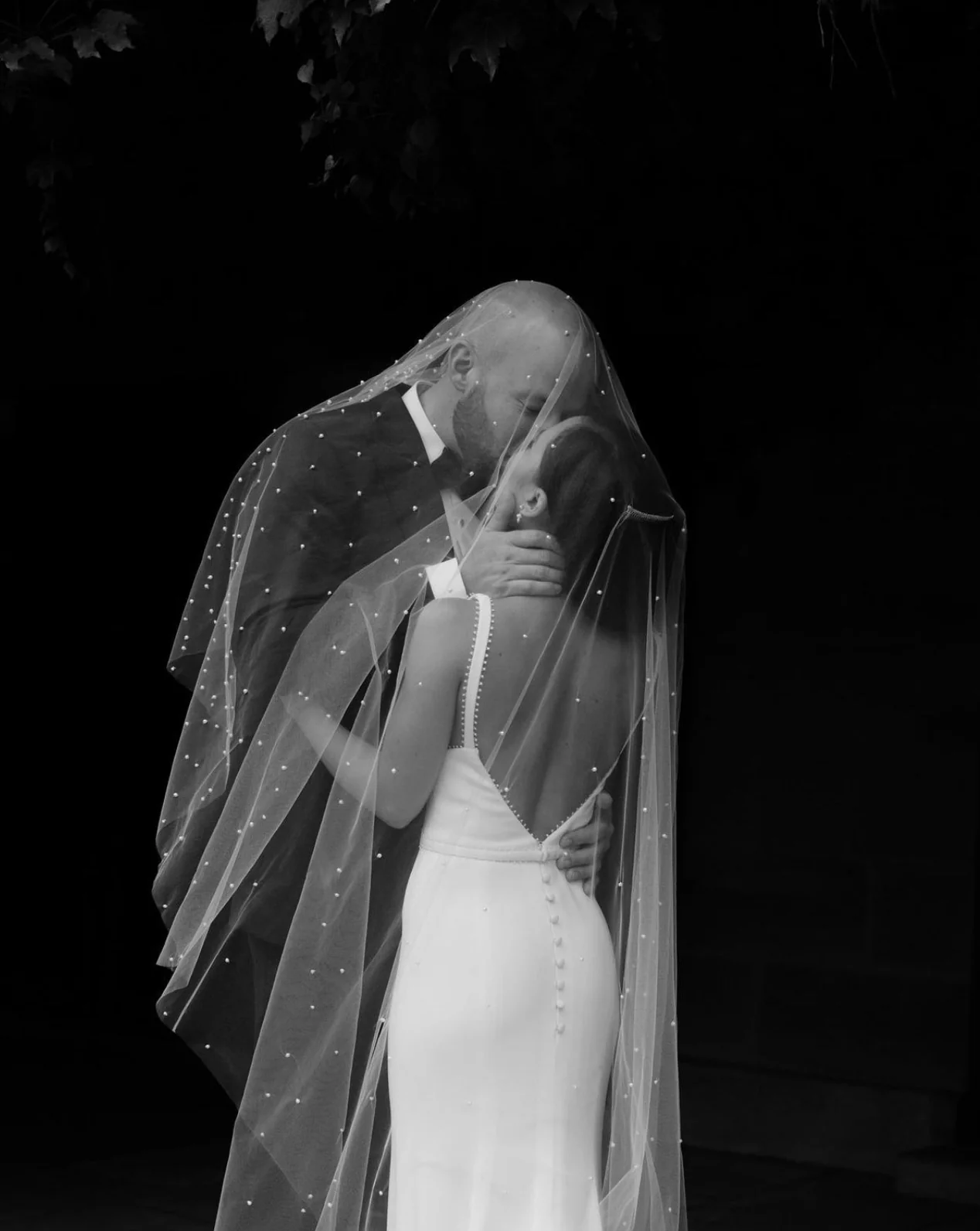 Pandora Veil - Image 5