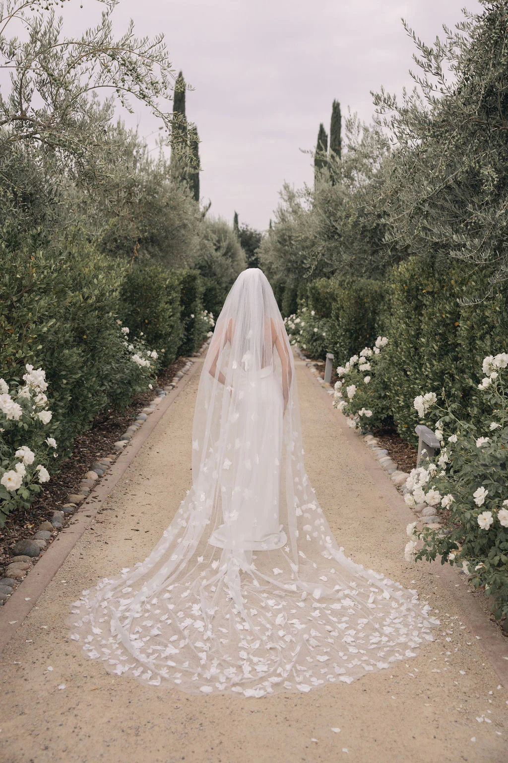 Sarai Veil - Image 3