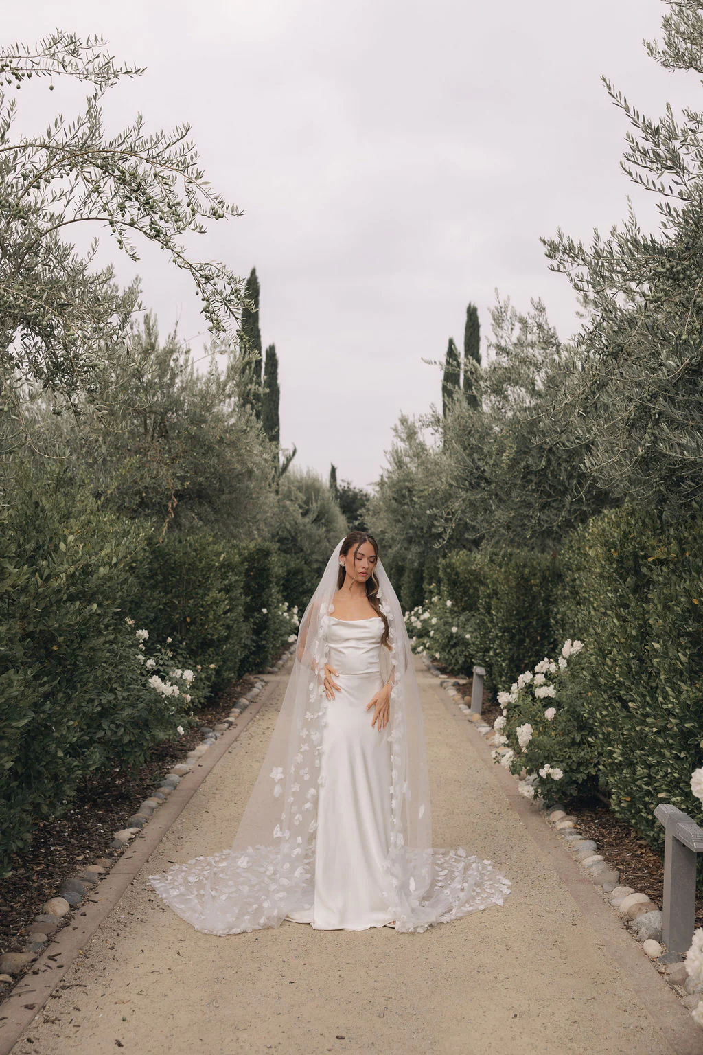 Sarai Veil - Image 6